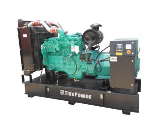 Дизельный генератор Tide Power EB250-C1 TP (6LTAA8.9-G3) в контейнере с АВР